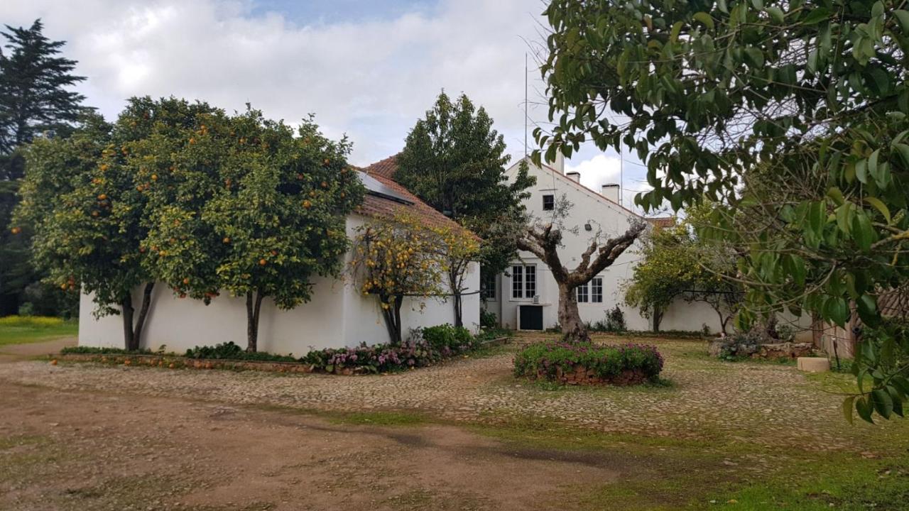 Quinta Do Cacador Ξενοδοχείο Estremoz Εξωτερικό φωτογραφία