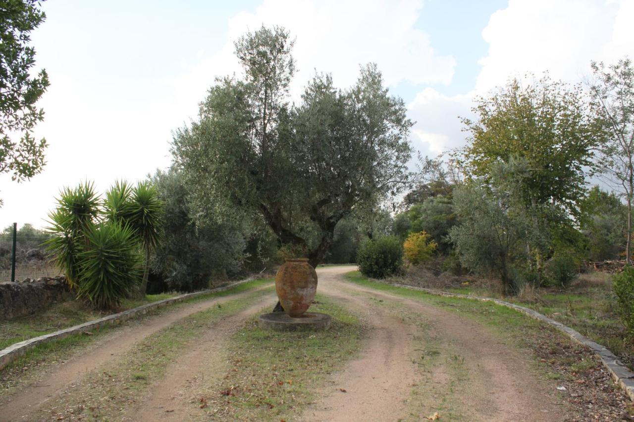 Quinta Do Cacador Ξενοδοχείο Estremoz Εξωτερικό φωτογραφία